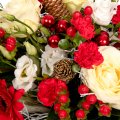Vánoční růže a germínky