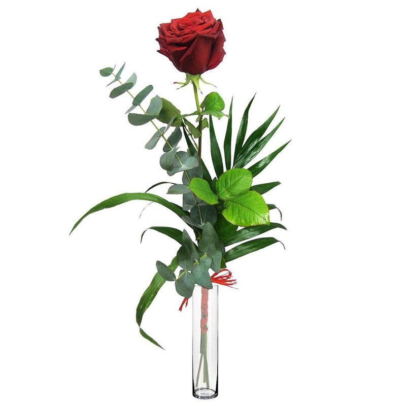 Einzelne Rosen mit Vase
